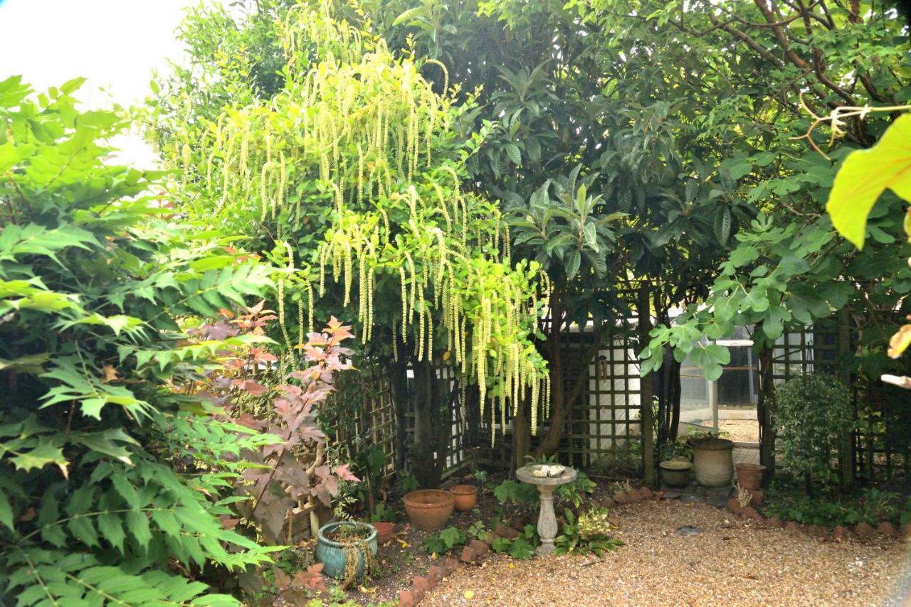 Cosy House, A Train Spotter'S Delight! Villa New Alresford Luaran gambar